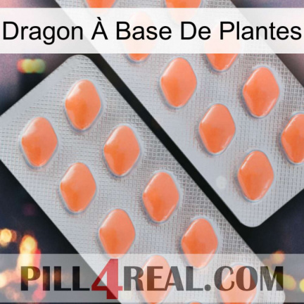 Dragon À Base De Plantes 27